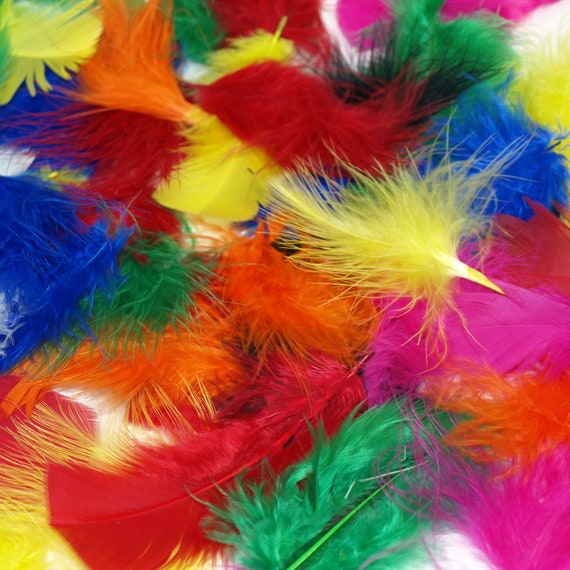 Fluffy Craft Feathers Assorted Coloured for Kids Collage Bright Mix Pack of  28g 