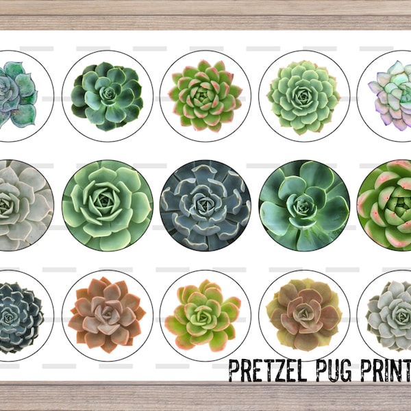 Succulent Plant Images / 1 Inch Round Circle Images / 25mm INSTANT DOWNLOAD / Digital Download Collage Sheet / Cabochon Pendant Images