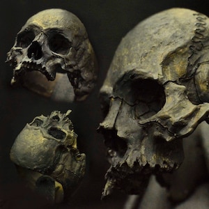 Skull ring - Into The Fire Jewelry -  Decayed half jaw silver mens skull rings handmade jewelry .925 etsy • #83