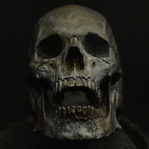 Into The Fire Jewelry - Skull ring Mid size open jaw silver mens skull biker masonic rock n roll gothic handmade jewelry #31 .925 etsy