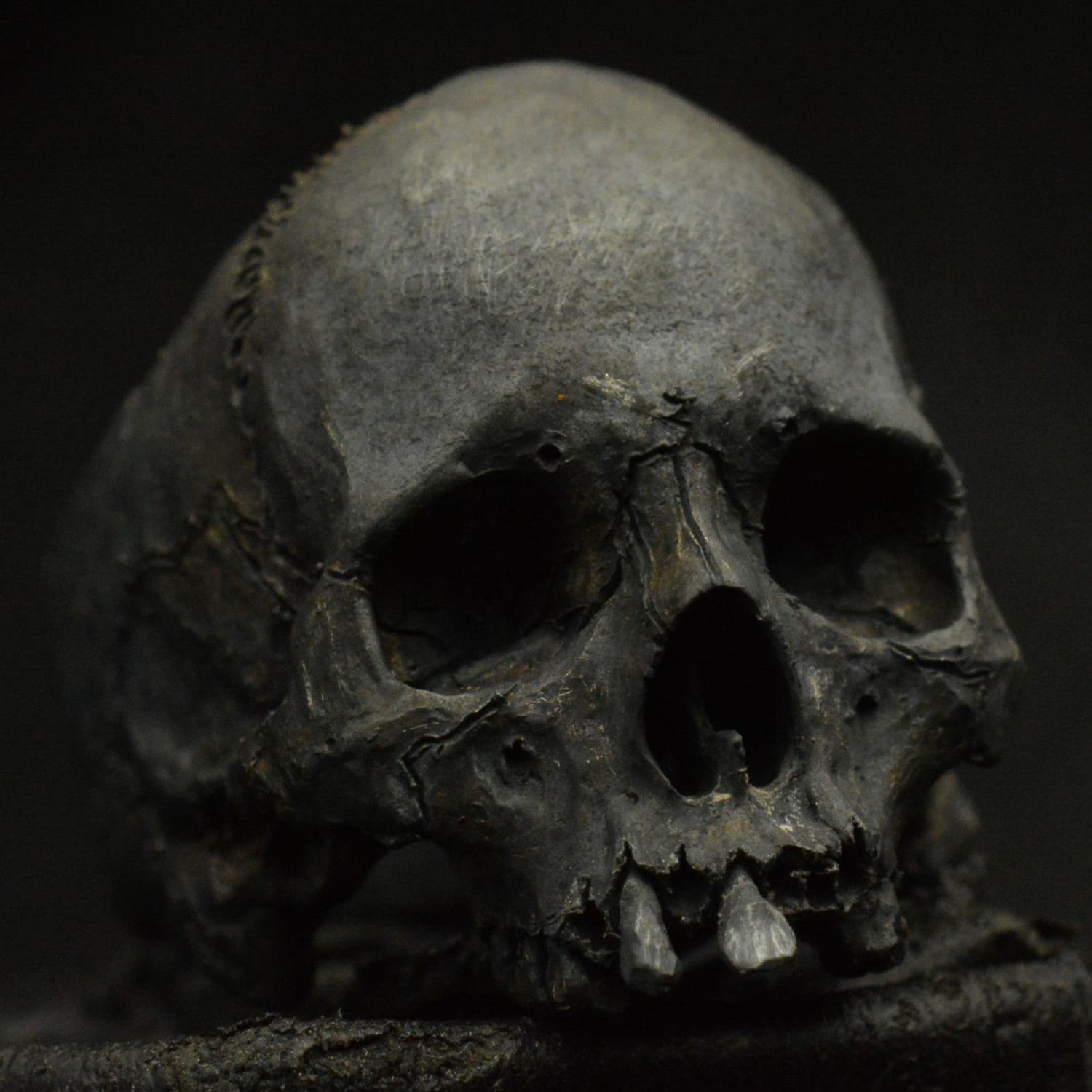 Skull Ring - Into the Fire Jewelry - Decayed Half Jaw Silver Mens