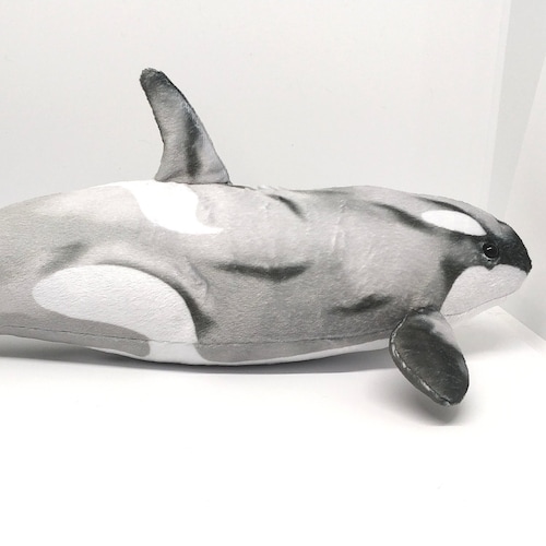 Chimo the Orca Plushie Killer Whale Plush Etsy