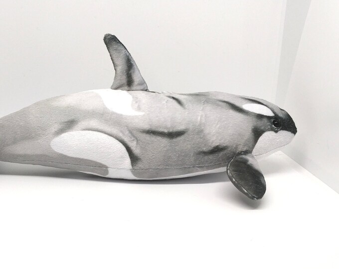 Chimo the Orca Plushie Killer Whale Plush Etsy