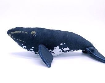 FREE SHIPPINGScience & Nature 75386 Small Southern Right Whale NIP FREE SHIPPINGScience & Nature 75386 Small Southern Right Whale NIP