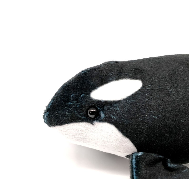 Cappuccino the Orca Plushie Killer Whale Plush Southern | Etsy