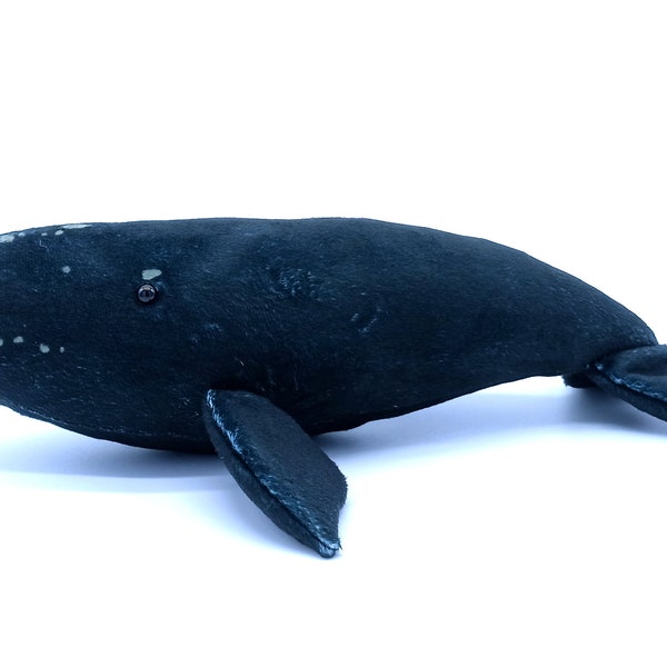 North Atlantic Right Whale Plush / Baleen Whale