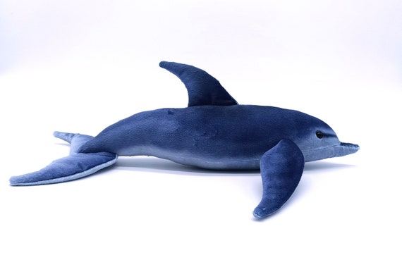dolphin teddy