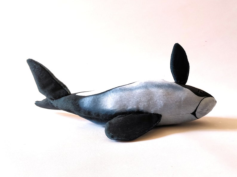 Hector's Dolphin Plushie Maui Dolphin Plush New Zealand | Etsy