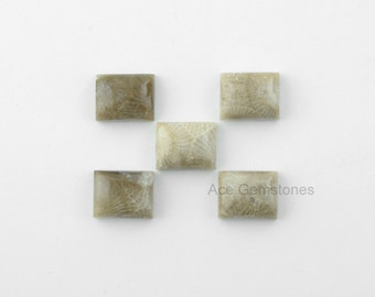 Kopalnych Coral Rectangle gładkie luźne kamienie szlachetne, kalibrowane kaboszonów, kamień dostawy, kopalnych Koral 10x14mm-5 szt.