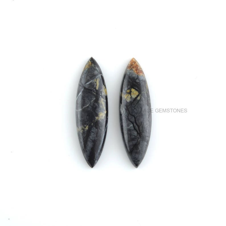 May include: Two black and gray gemstone cabochons with a marbled pattern and gold flecks. The cabochons are shaped like a long oval.
