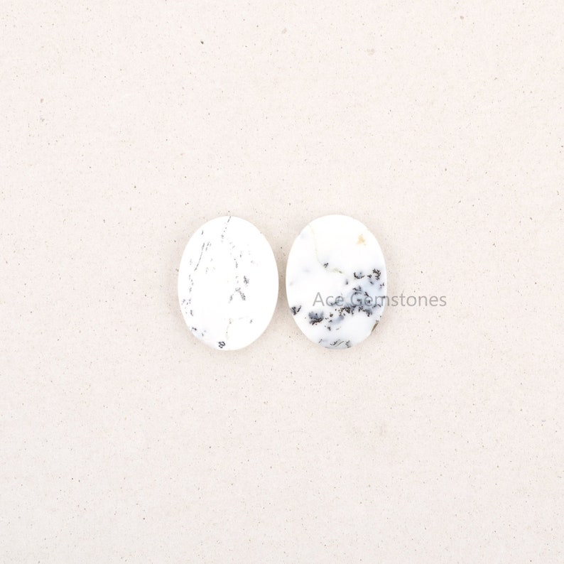 May include: Two white oval-shaped stones with black and gray markings. The stones are smooth and polished.