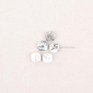 May include: Five white and black agate cabochons, each with a square shape and a smooth, polished surface. The stones are arranged in a semi-circle on a white background.