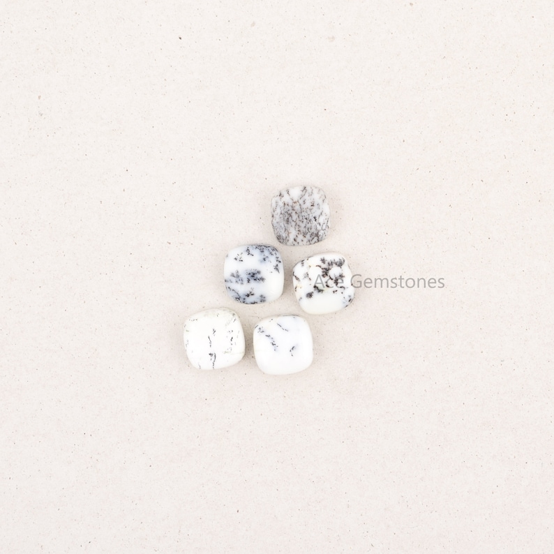 May include: Five white and black agate cabochons, each with a square shape and a smooth, polished surface. The stones are arranged in a semi-circle on a white background.