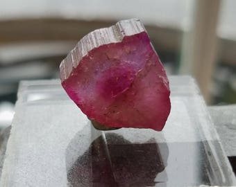 Tourmaline crystal section, pink tourmaline, Brazilian tourmaline.