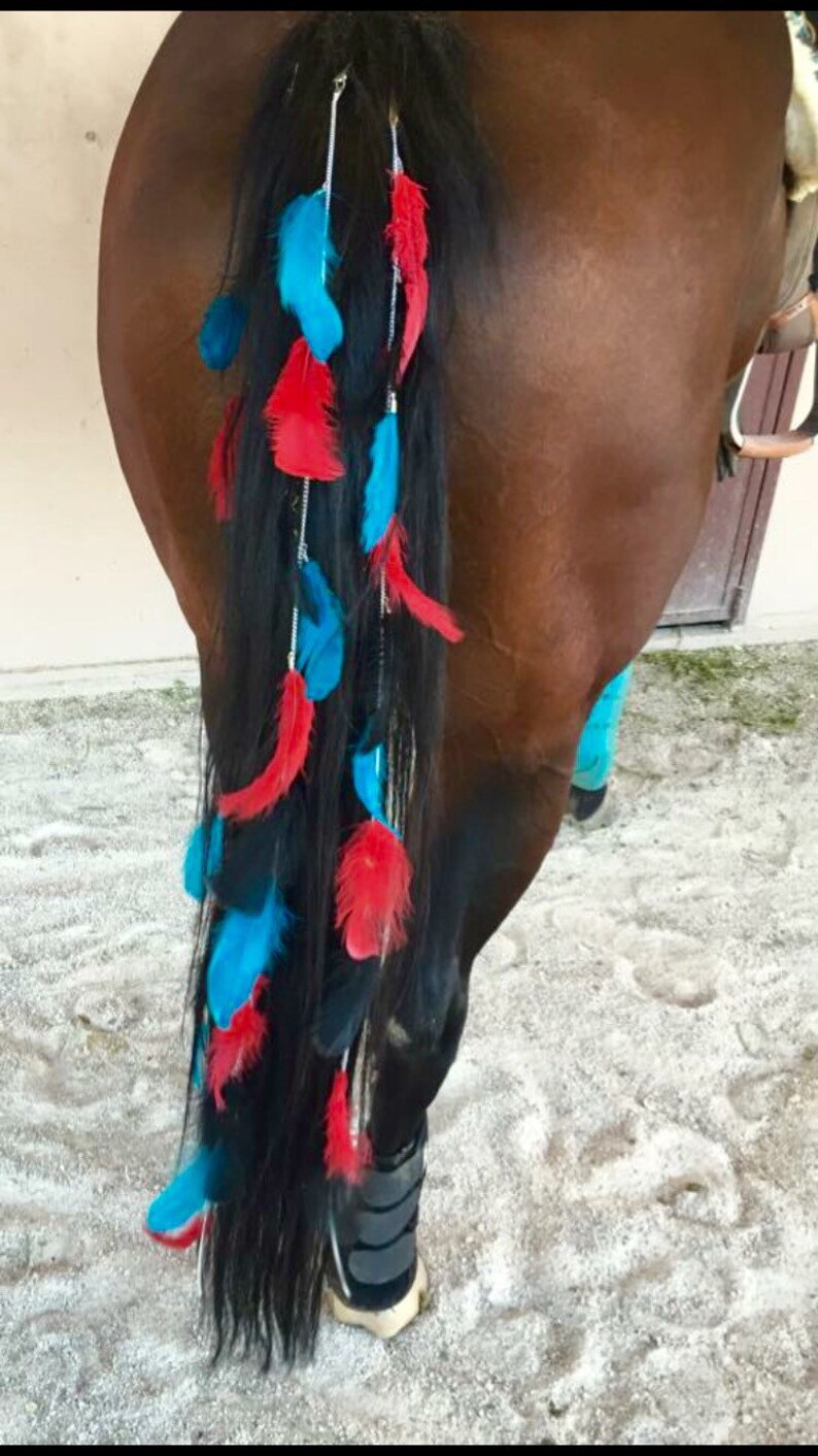 Horse Mane Extensions at Sharon Castro blog