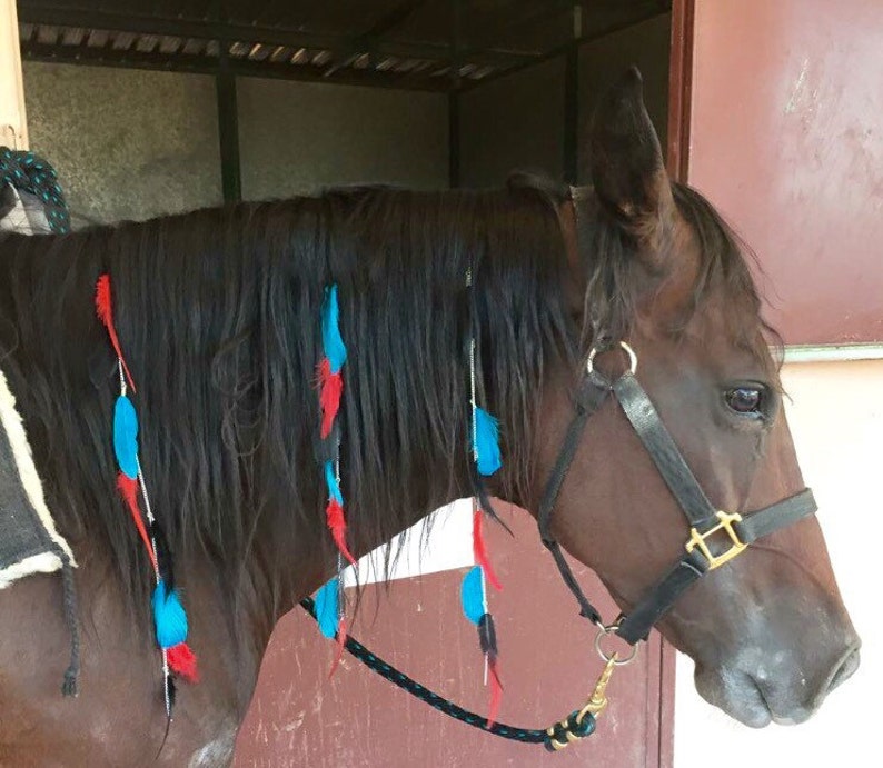 Horse Mane and Tail Feather Extensions You choose colors and Etsy