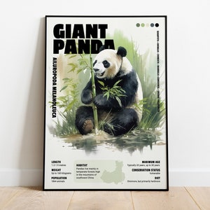 Giant Panda - Evocative Poster - Photowall