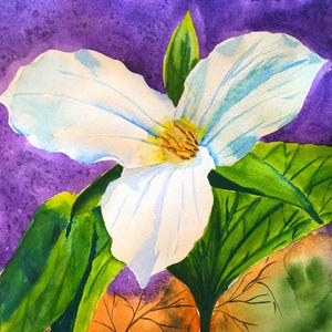 Trillium Watercolor Fine Art Print - Botanical Wildflower Painting for Garden Lovers and Home Decor