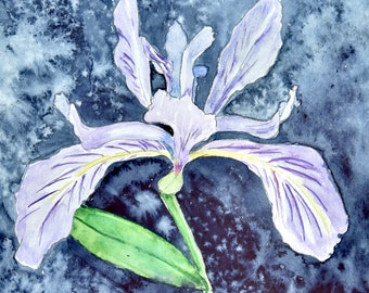 Wild Iris Watercolor Painting, Boho Wall Art. Oregon Wildflowers