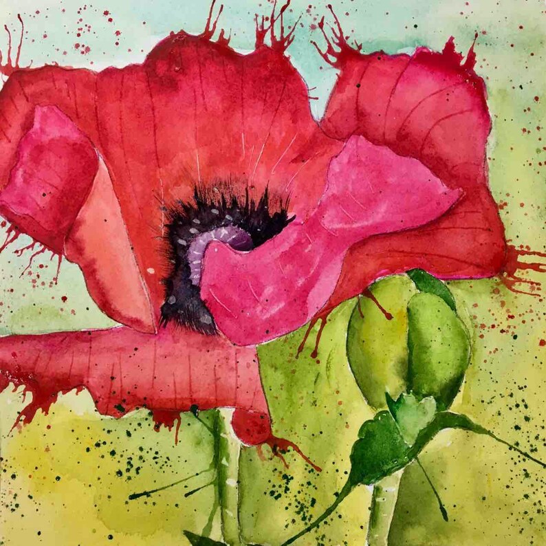 Colorado Wild Flower Prints Stunning Gallery Wall From My Original Paintings Poppy Unframed