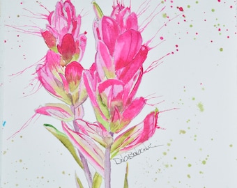 Original Painting of Indian Paintbrush