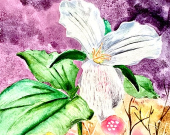 Trillium Fine Art Print from my Original Watercolor Painting