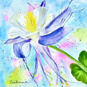 Colorado Blue Columbine Watercolor Print - State Flower Aquilegia Fine Art for Home & Office Decor
