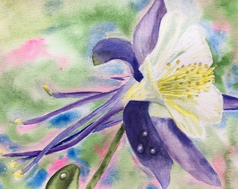 Columbine Print from my Original Watercolor Painting.