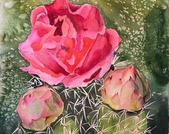 Prickly Pear Cactus Flower Giclee Print from Original Watercolor Painting, Desert Cactus in Bloom, Southwestern Southwest Decor