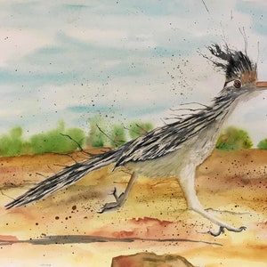 Print of Roadrunner from my Painting Original Watercolor, Desert  Southwestern Decor, Southwest Art Bird Wall Art, Road runner bird