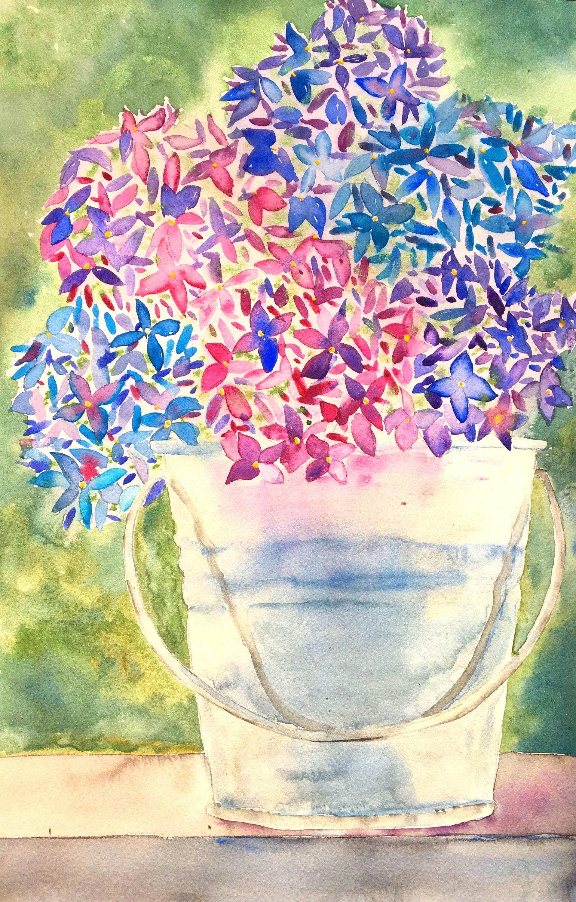 Blue Pink Hydrangea Watercolor Print: Floral Painting in Silver Bucket ...