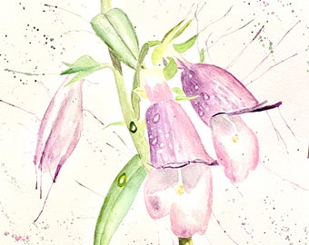 Penstemon Flower Print from my Original Watercolor Painting.  Colorado Wildflowers.  Floral Art. Bedroom Decor. Office Decor.