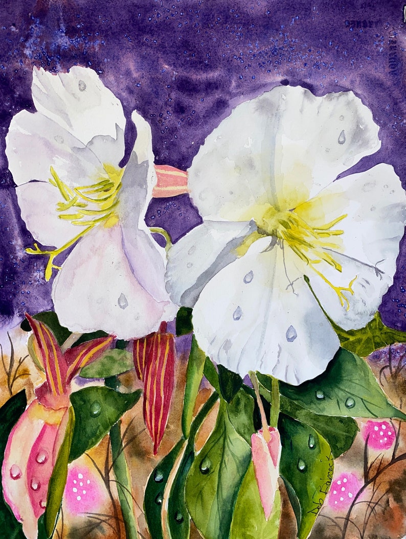 Desert Primrose with Dewdrops Fine Art Print from my Painting Original Watercolor image 1