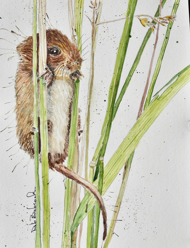 Field Mouse in Grass Original Watercolor Painting Etsy