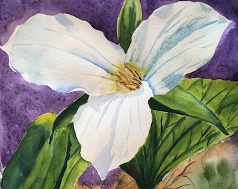 Fine Art Print of Trillium from Original Watercolor Painting.