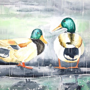 Rainy Day Duck Watercolor Print: Canadian Geese and Water Birds for Farmhouse Home Decor