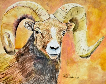 Original Painting of Big Horn Sheep  Colorado Ram.