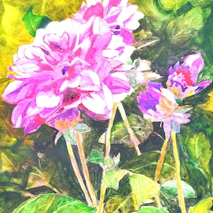 Elegant Pink Dahlia Watercolor Fine Art Print - Original Floral Painting Wall Decor