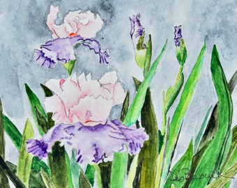 Pink and Purple Iris Painting - Original Watercolor by Deb Babcock