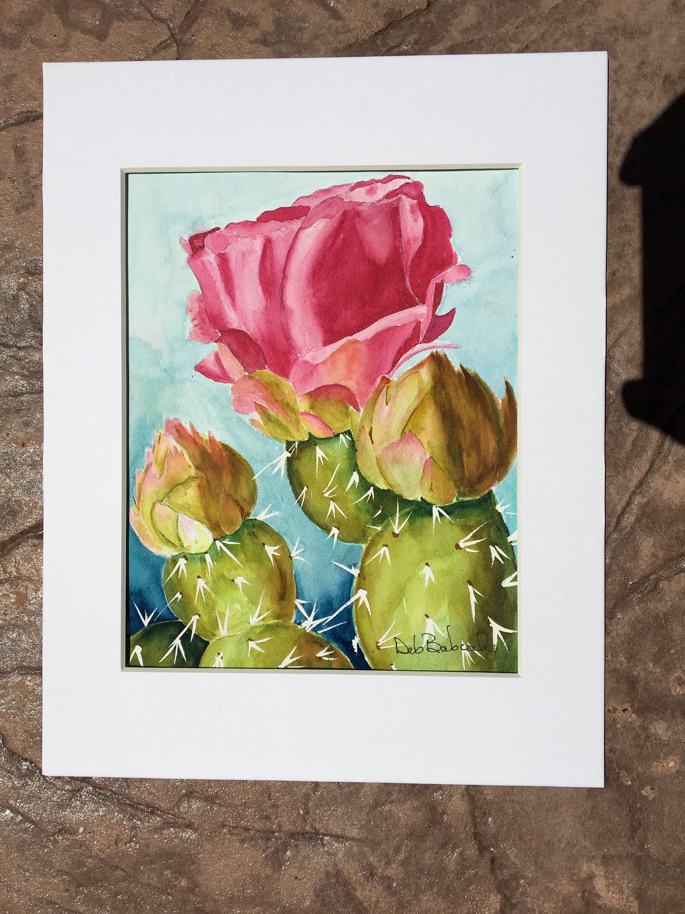Desert Botanical Art | Blooming Prickly Pear Cactus Watercolor Print ...