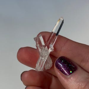 Extra Quality Lemurian Quartz Small Cluster