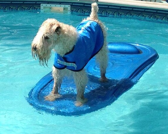 Cool coats for clearance dogs