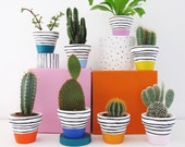 Rainbow Set - 8 Mini Plant Pots