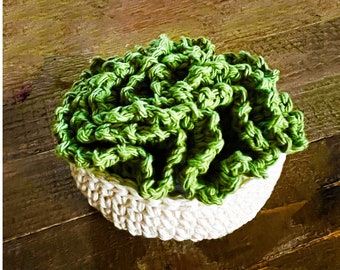 Crochet Pattern Succulent Plant Pot Coaster Set Crochet Pattern Instant Digital Download PDF Easy Crochet Pattern