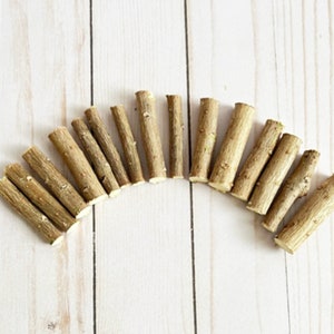 Stems for Craft Projects, Pumpkin Stems, 15 Short Wood Sticks, 1 1/2”- 3”, DIY Projects, Rustic Decorating, Woodland Décor, Natural Stems