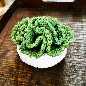 May include: A crocheted succulent plant in a white pot. The succulent is green and has a ruffled texture. The pot is made of white yarn and has a round shape.