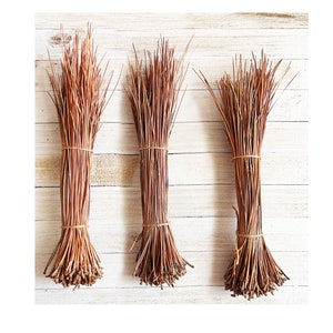 Può includere: Tre mazzi di aghi di pino secchi di colore marrone legati insieme con uno spago. I mazzi sono disposti in fila su una superficie di legno bianco.