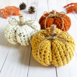 Gehaakte rustieke boerderij pompoenen herfst decor Halloween centerpiece decor