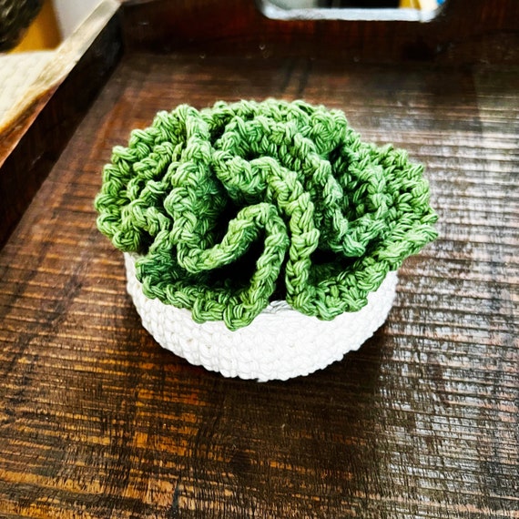 Crochet Succulent Coaster Set Pattern: Flower Pot Plant Coasters (digital  Download) - Etsy