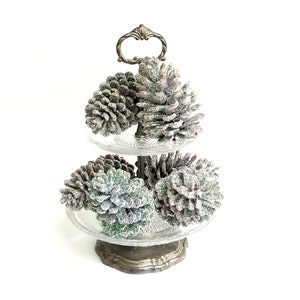 Glitter Pine Cones, Winter Wedding Decor, Pinecone Ornaments, Large Pine Cones, Pine Decor, Frosted Pine Cones, Pine cone decor image 6